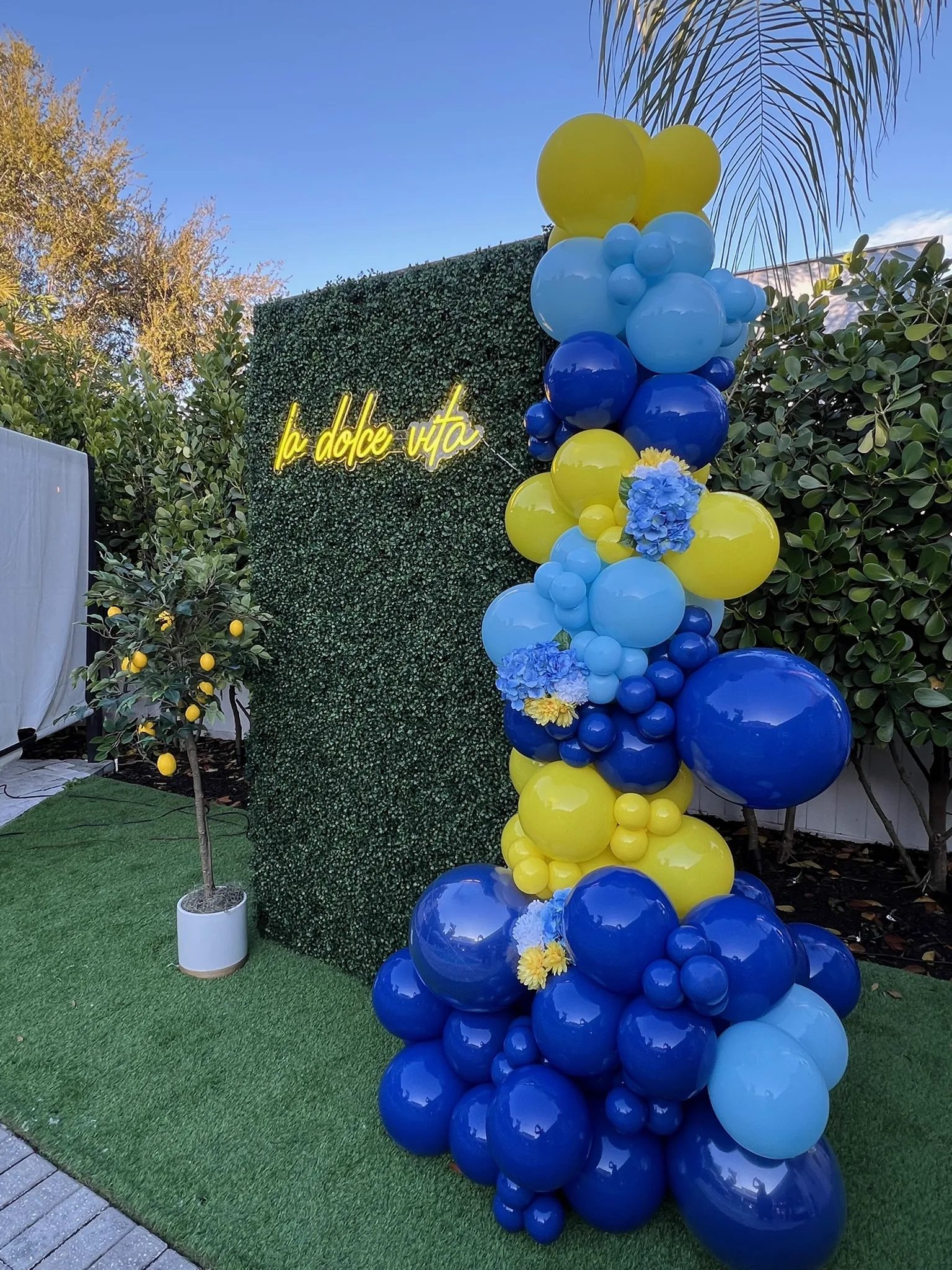 Blue and yellow balloon column installation at an outdoor birthday party